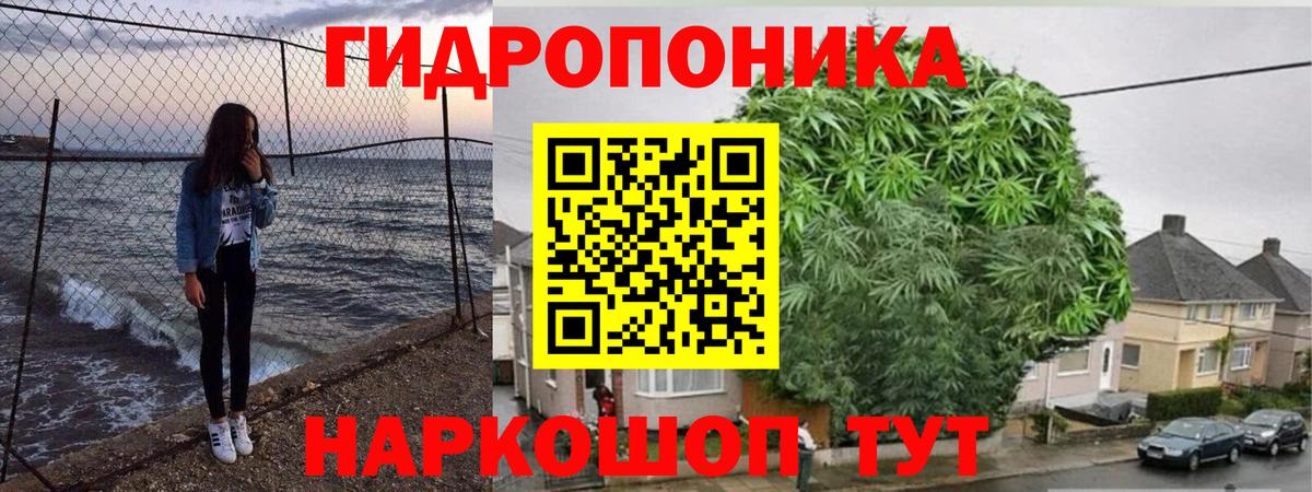 Шишки марихуана семена Сердобск